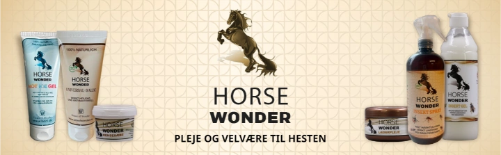 Slider Horse Wonder