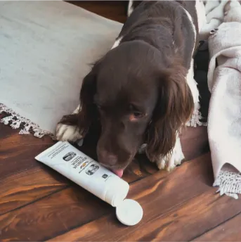 Hund slikker på White Wonder tube.