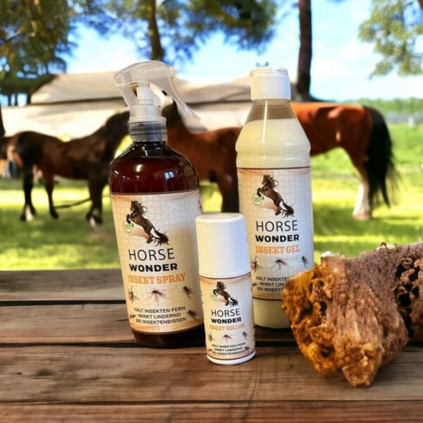 Horse Wonder Bundle