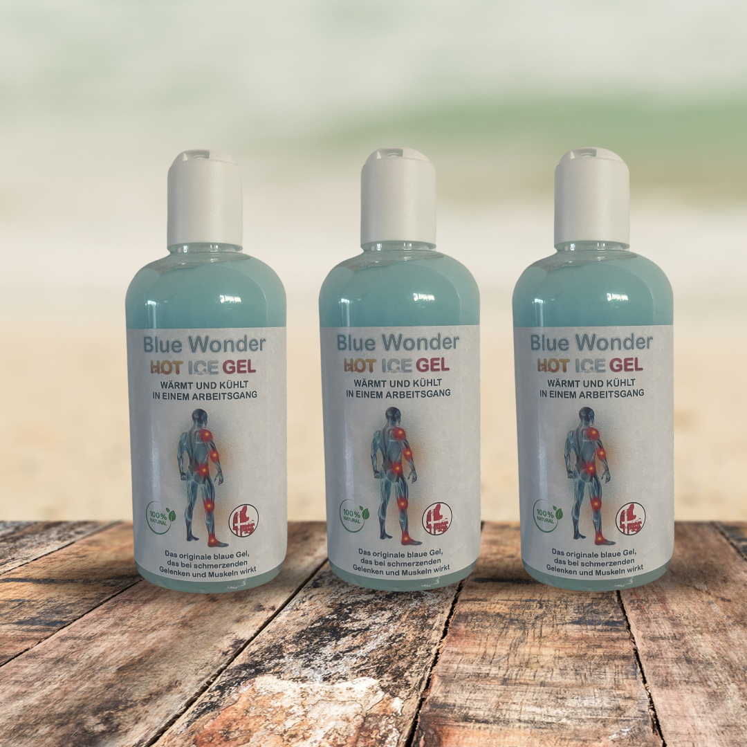 24 3x Blue Wonder Dispenser 250 ml